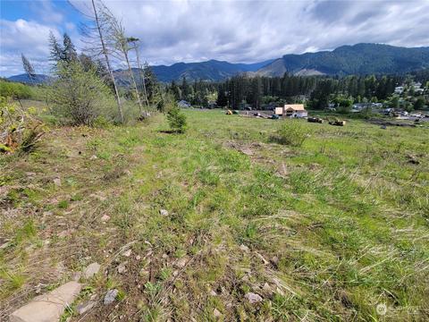 0 Brooks Rd, Carson, WA 98610 photo 5