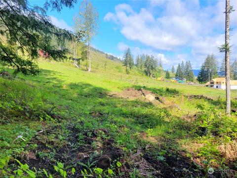 0 Brooks Rd, Carson, WA 98610 photo 3