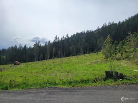 0 Brooks Rd, Carson, WA 98610 photo 2