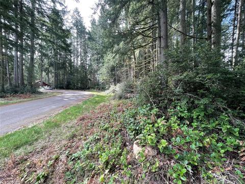 11726 Lake Pl, Anderson Island, WA 98303