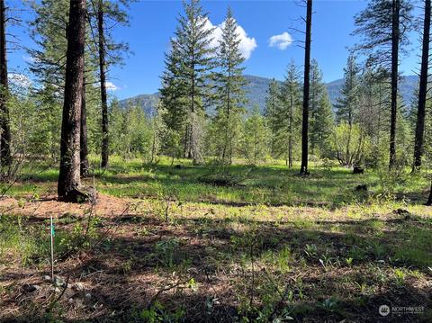 24 Liberty Ln, Winthrop, WA 98862