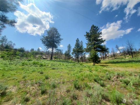 223 Cameron Lake Loop Rd, Okanogan, WA 98840