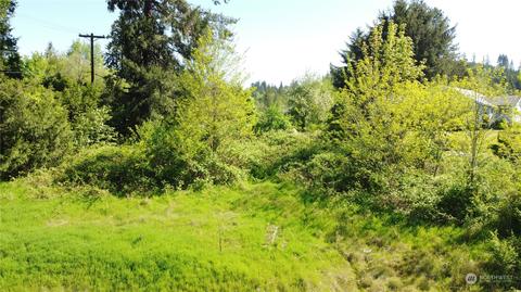 0 Holcomb Loop Rd, Kelso, WA 98626