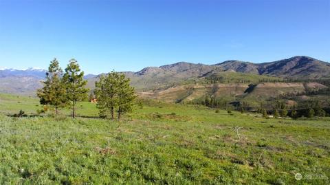 15 Sawtooth View Rd, Methow, WA 98834