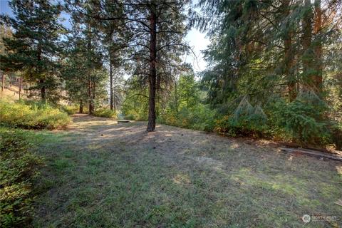 868 Twisp River Rd, Twisp, WA 98856 photo 25