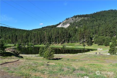 25 Deer Lake Rd, Republic, WA 99166