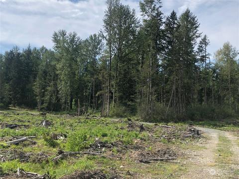 0 340th St E, Roy, WA 98580