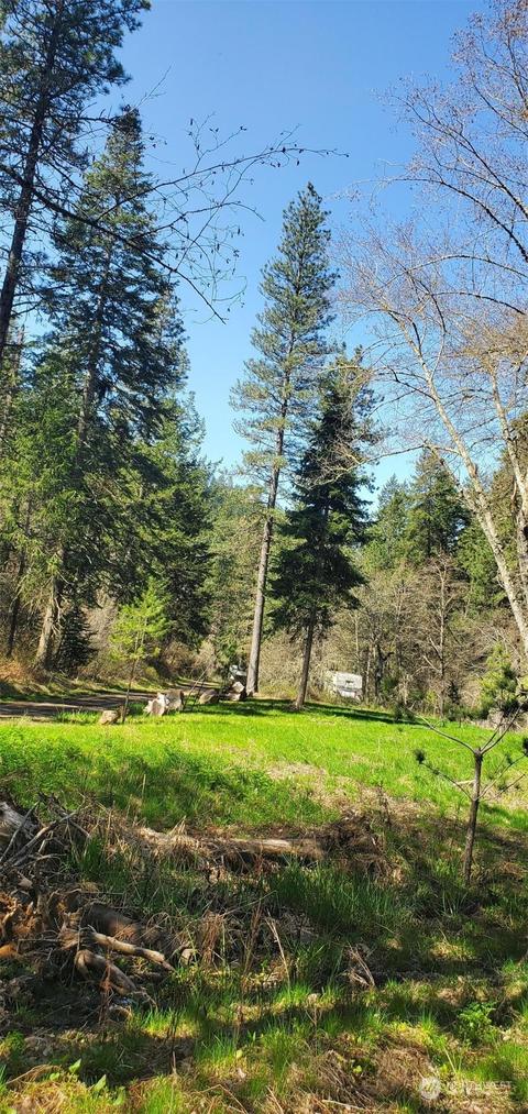 6831 S Fork Coppei Rd, Dixie, WA 99329 photo 9