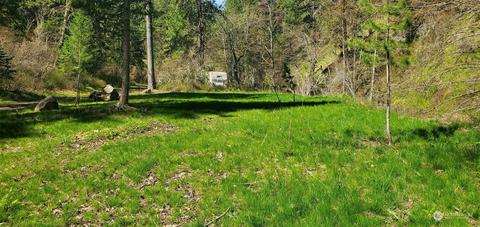 6831 S Fork Coppei Rd, Dixie, WA 99329 photo 6