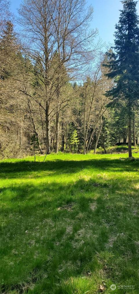 6831 S Fork Coppei Rd, Dixie, WA 99329 photo 3