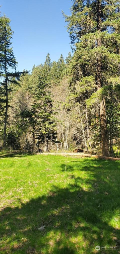6831 S Fork Coppei Rd, Dixie, WA 99329 photo 8