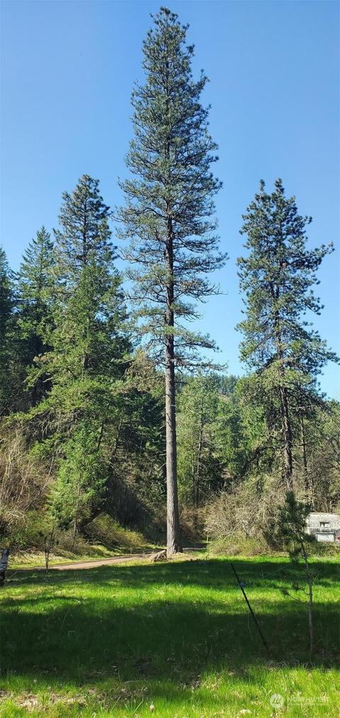 6831 S Fork Coppei Rd, Dixie, WA 99329 photo 15