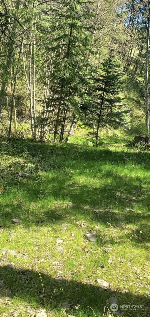 6831 S Fork Coppei Rd, Dixie, WA 99329 photo 5