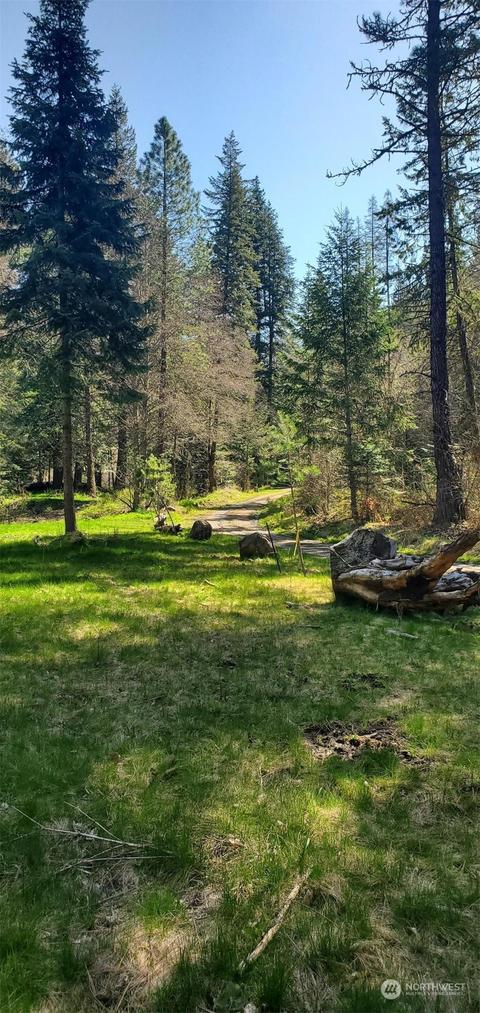 6831 S Fork Coppei Rd, Dixie, WA 99329 photo 17