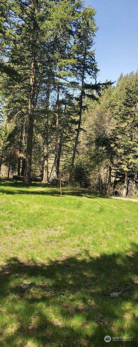 6831 S Fork Coppei Rd, Dixie, WA 99329 photo 23