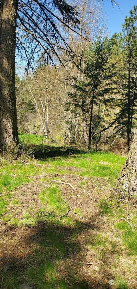 6831 S Fork Coppei Rd, Dixie, WA 99329 photo 2