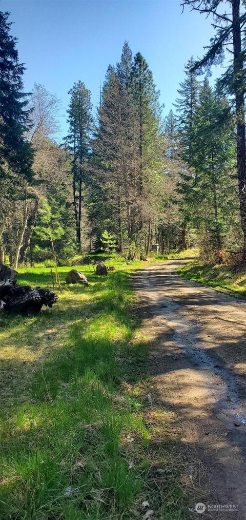 6831 S Fork Coppei Rd, Dixie, WA 99329 photo 16