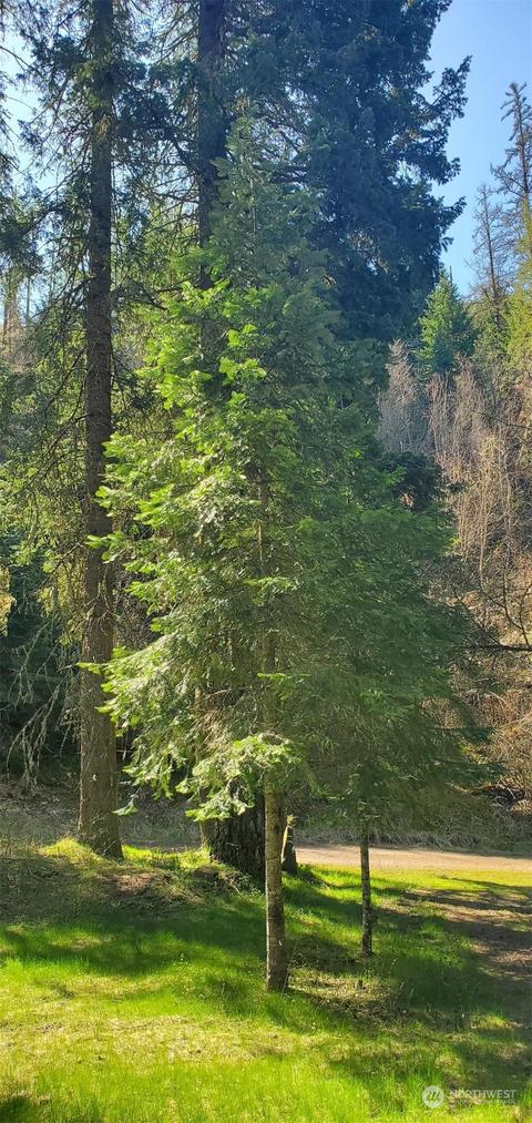 6831 S Fork Coppei Rd, Dixie, WA 99329 photo 4