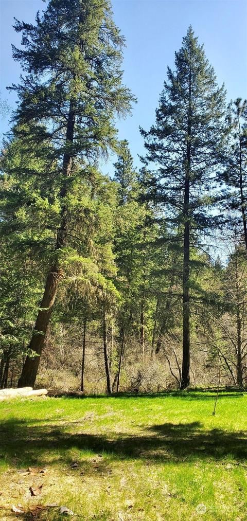 6831 S Fork Coppei Rd, Dixie, WA 99329 photo 7