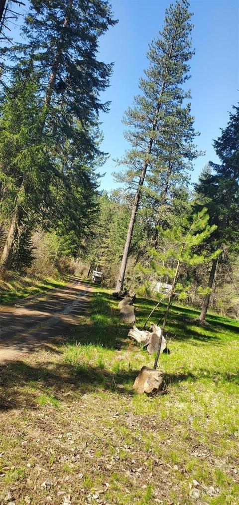 6831 S Fork Coppei Rd, Dixie, WA 99329 photo 18