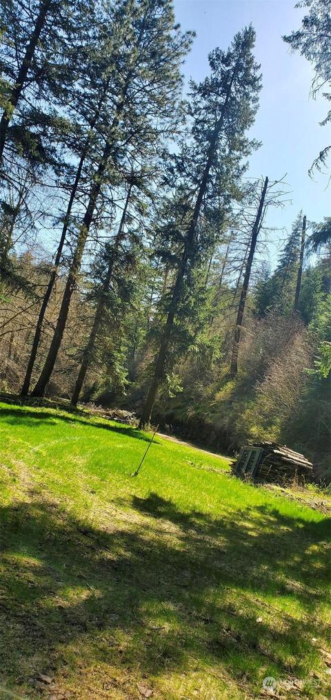 6831 S Fork Coppei Rd, Dixie, WA 99329 photo 22