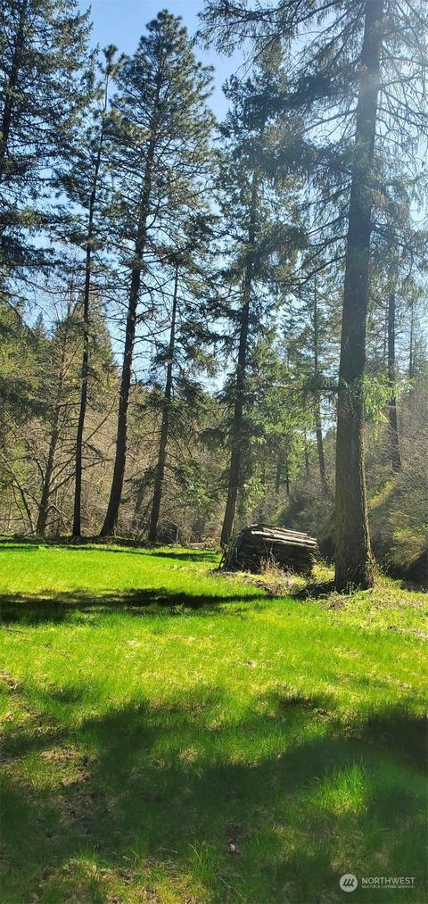 6831 S Fork Coppei Rd, Dixie, WA 99329