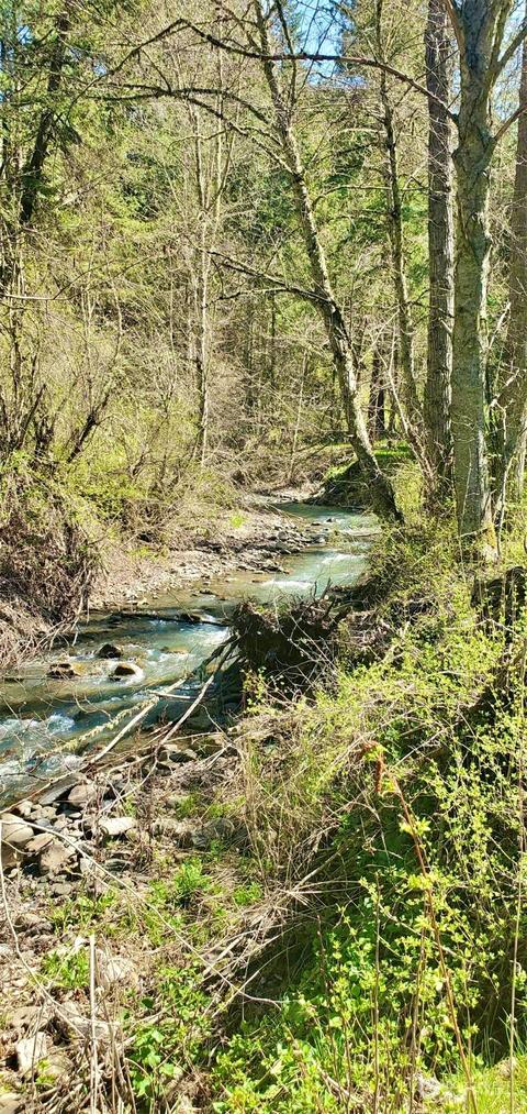6831 S Fork Coppei Rd, Dixie, WA 99329 photo 11