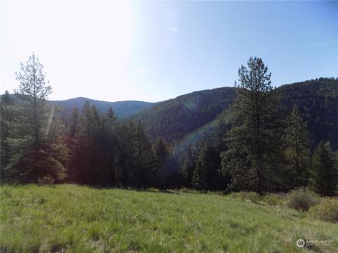 11 E Tbd E Fork Cougar Creek Rd, Wauconda, WA 98859