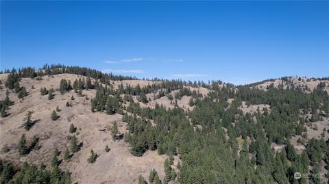 111 E Tbd E Fork Cougar Creek Rd, Wauconda, WA 98859