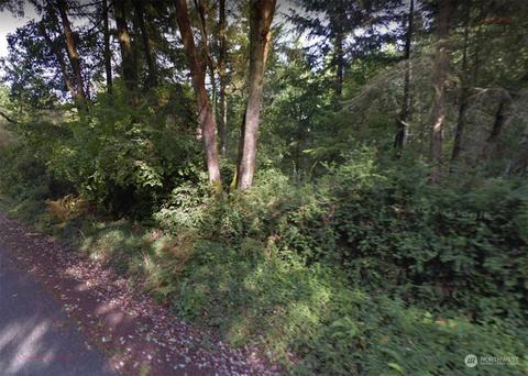 0 Nn Whiteman Rd S, Longbranch, WA 98351