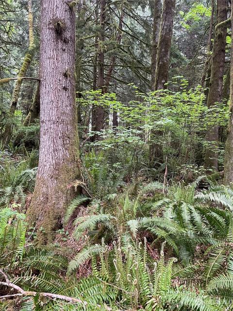 251 Lot 007 Woods Creek Rd, Snohomish, WA 98290