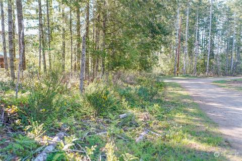 0 W Blueberry Ln, Elma, WA 98541
