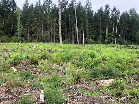 0 346th St E, Roy, WA 98580 photo 6