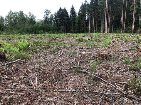 0 346th St E, Roy, WA 98580 photo 7