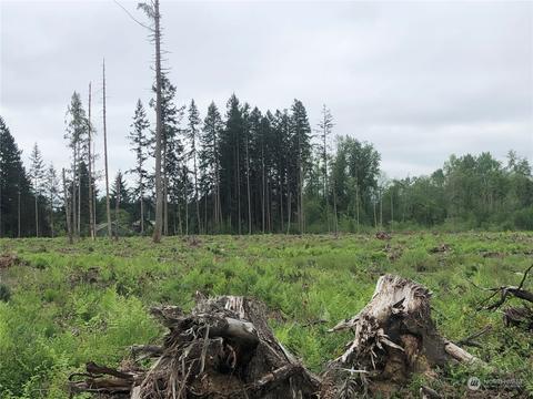 0 346th St E, Roy, WA 98580 photo 10