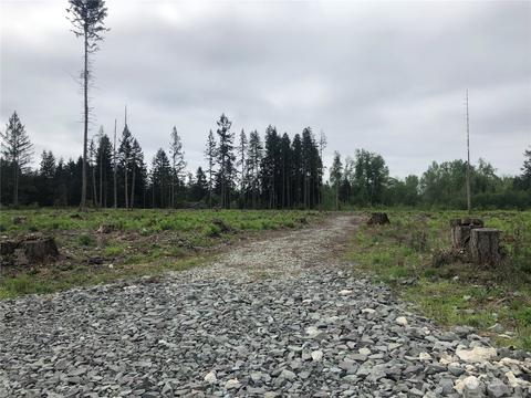 0 346th St E, Roy, WA 98580