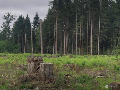 0 346th St E, Roy, WA 98580 photo 8