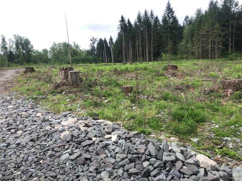 0 346th St E, Roy, WA 98580 photo 3