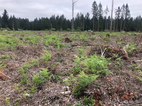 0 346th St E, Roy, WA 98580 photo 5