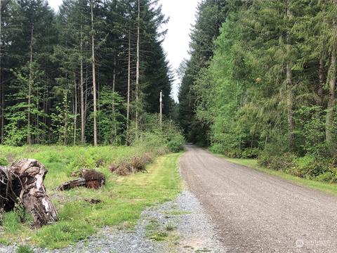 0 346th St E, Roy, WA 98580 photo 2