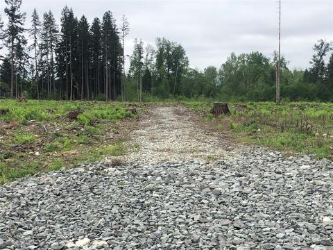 0 346th St E, Roy, WA 98580 photo 9