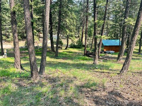 4 Emerson Rd, Mazama, WA 98833