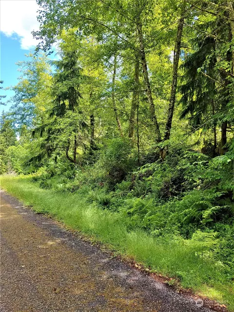 9211 Eckenstam Johnson Rd, Anderson Island, WA 98303