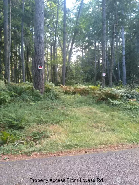 12618 Lovass Rd, Anderson Island, WA 98303