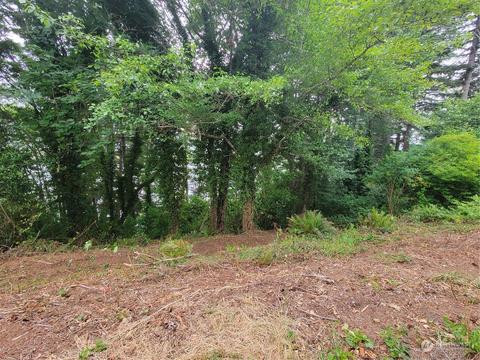 740 Columbia St, Cathlamet, WA 98612
