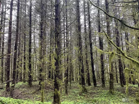 0 Green Mt Rd, Woodland, WA 98674