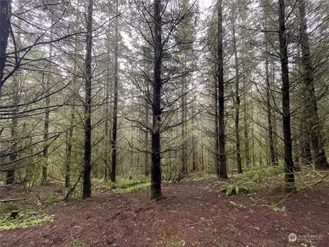 0 Weyerhaeuser Rd, Kalama, WA 98625