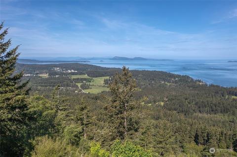 906 Wright Rd, Eastsound, WA 98245 photo 3