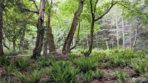 0 View Haven Rd, Orcas Island, WA 98245
