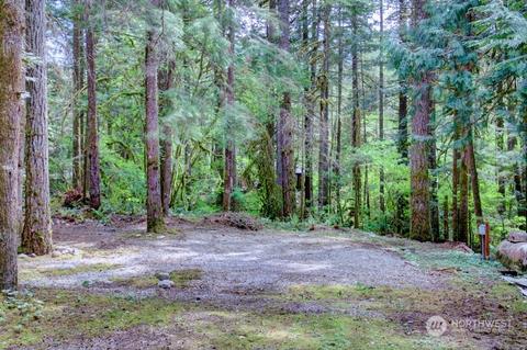 11 Wilderness Way, Deming, WA 98244